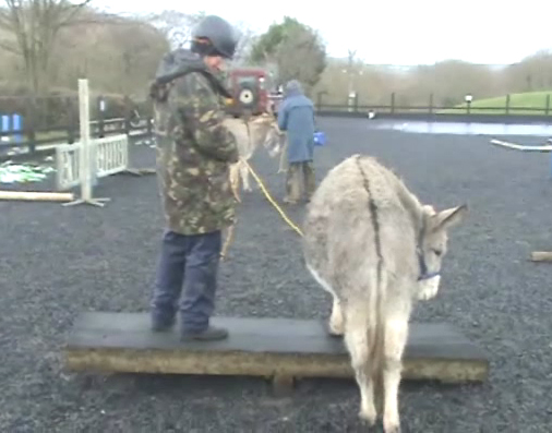 charlie seesaw 