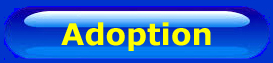 Click to adopt a donkey