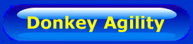 Click to see us doing donkey agility