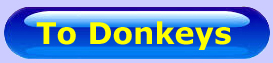 go to meet the donkeys