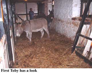 toby sniff 