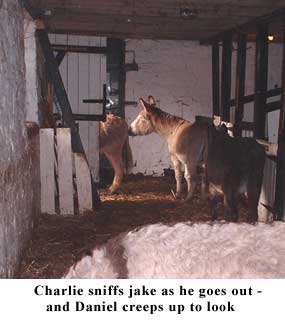 jake sniff3 