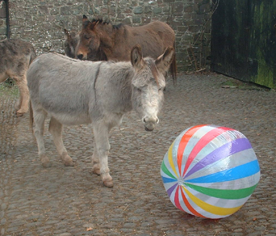 beachball 