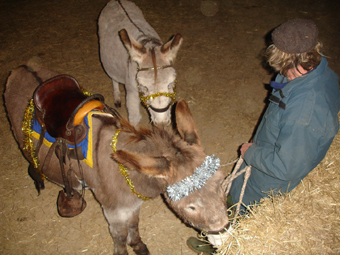 nativity2 