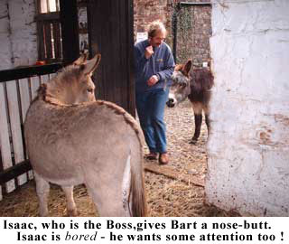 Isaac butts bart 