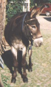 dan8.jpg