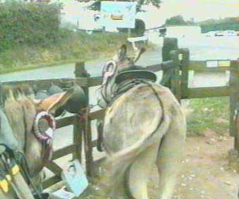 pulling gate.