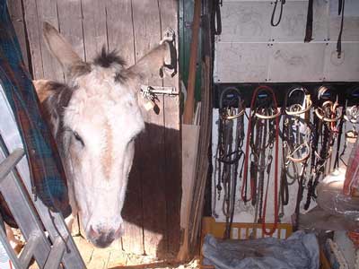 tack room.