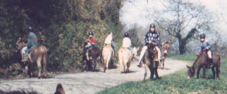 riding.
