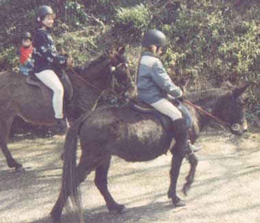 riding.