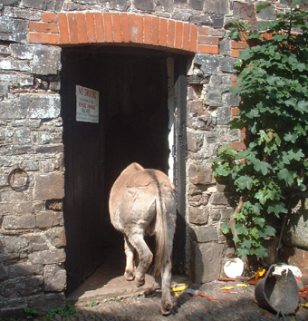 noah in feed room 