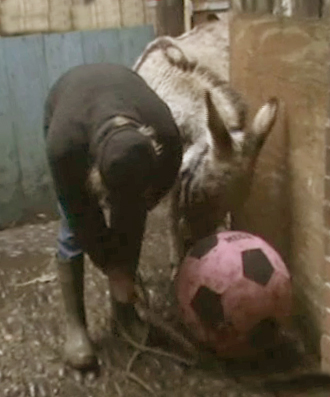 nose on ball 