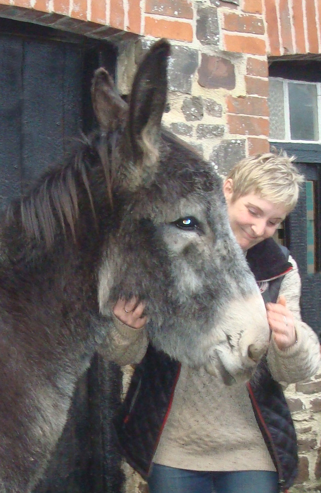 big donkey Sarah
