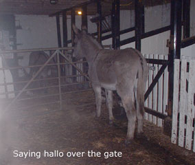 look over gate 