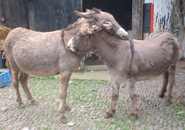 kiss with toby in june 