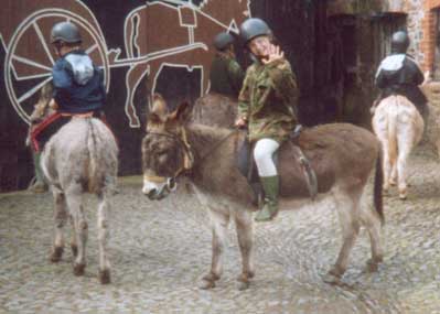 wellyriding