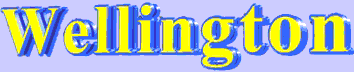 wellingtons