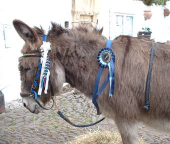 royalweddingribbons