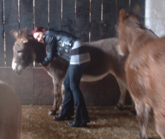huggingwelly