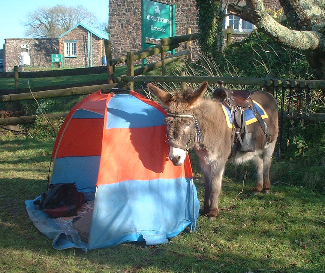 asleepbytent
