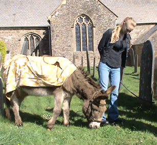 palmsunday