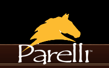 parellilogo